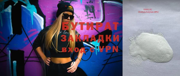 дмт Бородино