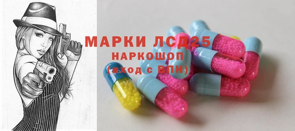 дмт Бородино