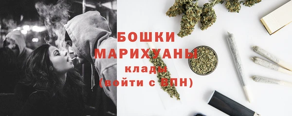 прущие грибы Беломорск