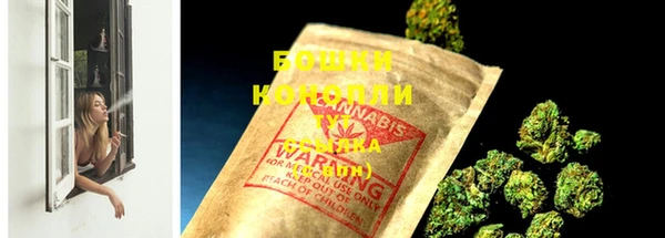 шишки Бронницы