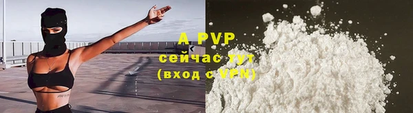 дмт Бородино