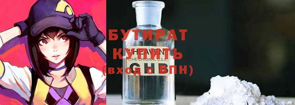 дмт Бородино