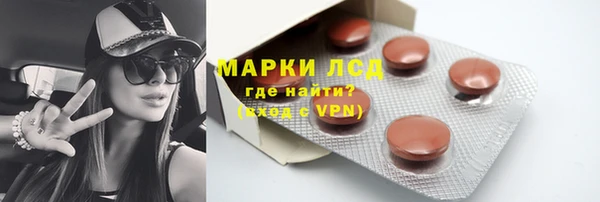 дмт Бородино