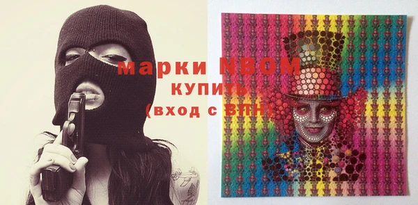 дмт Бородино