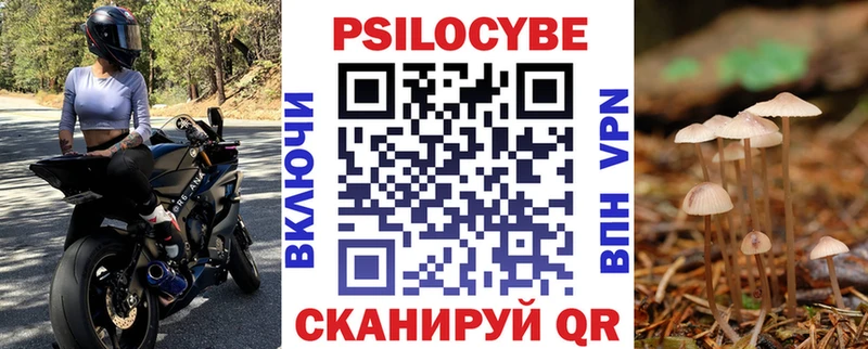 Галлюциногенные грибы мицелий  hydra ССЫЛКА  Кузнецк  наркотики 